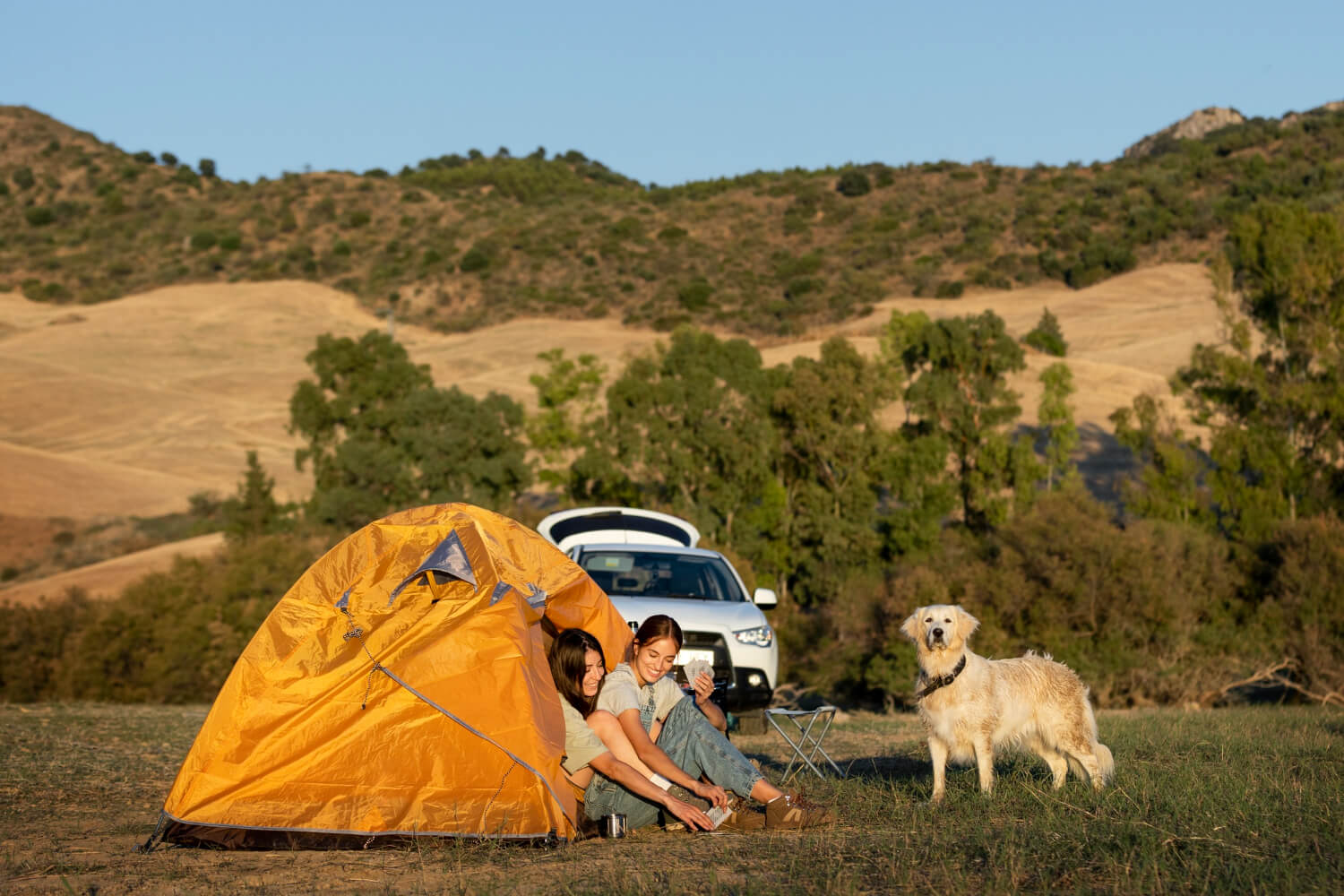 Dog-friendly camping site