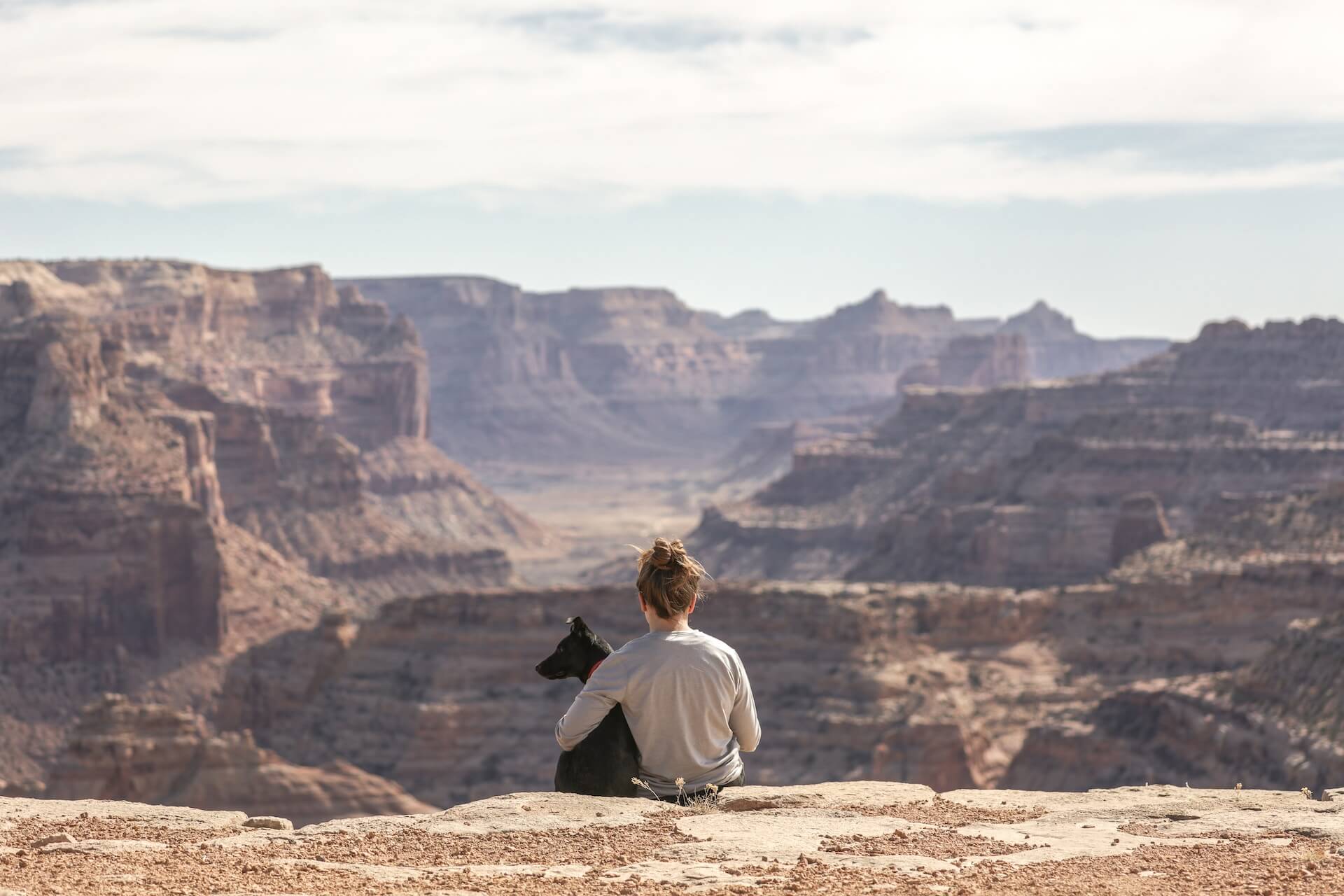 traveling with pets