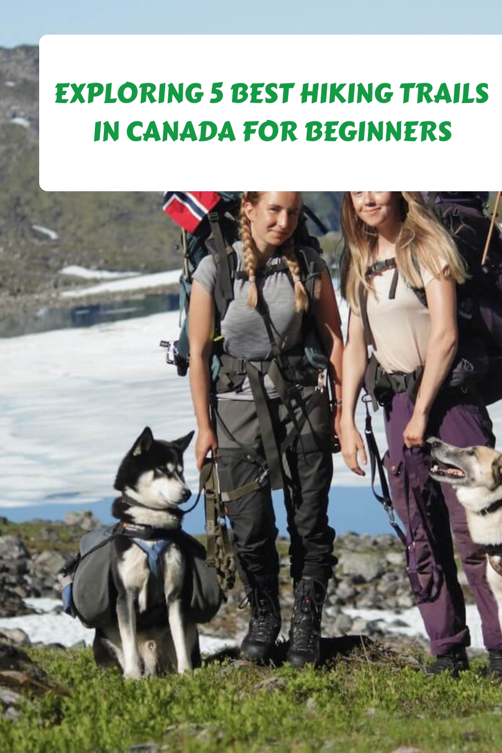 Exploring 5 Best Hiking Trails in Canada for Beginners generated pin 3399